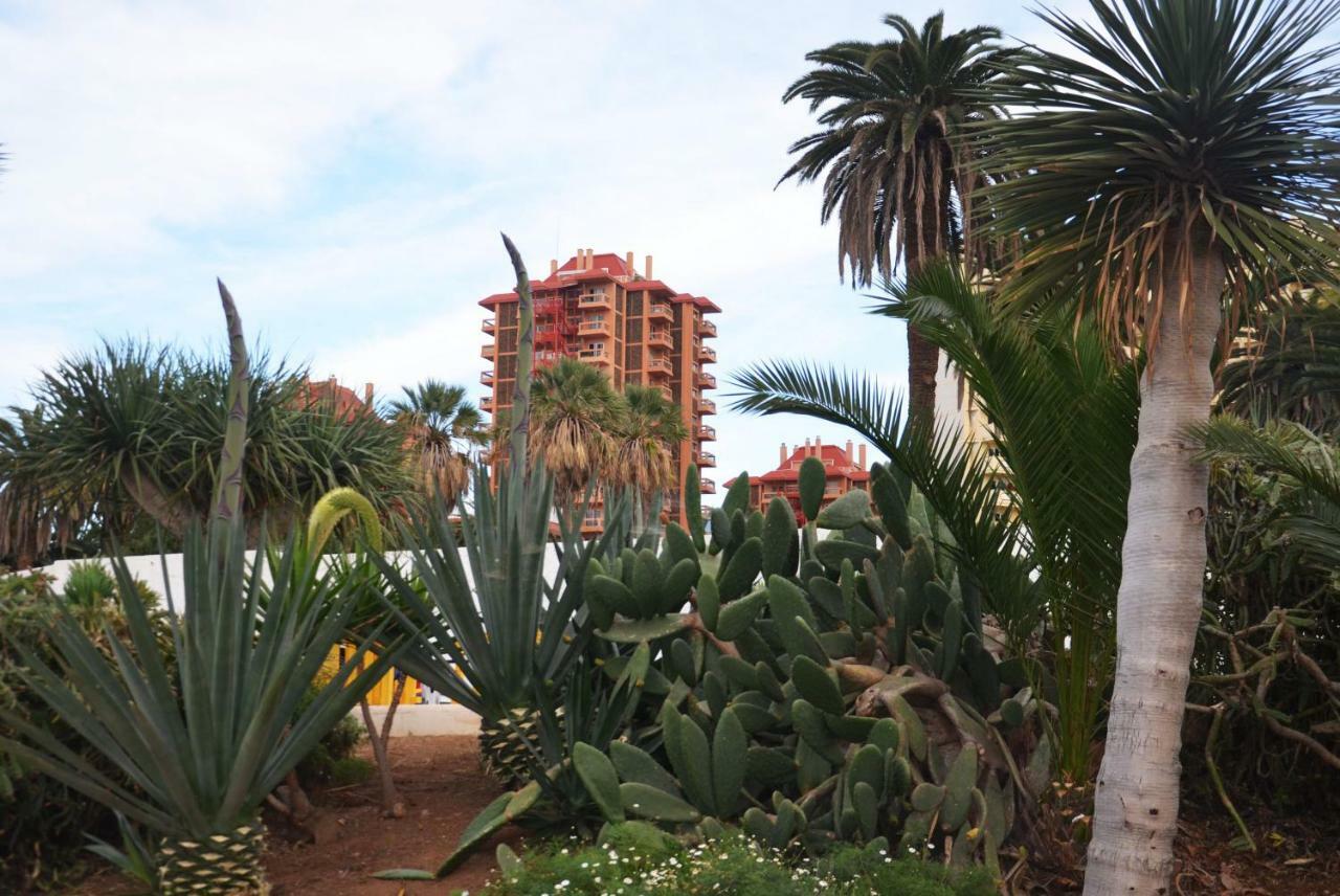 Sunshine Studio Puerto de la Cruz  Exterior foto